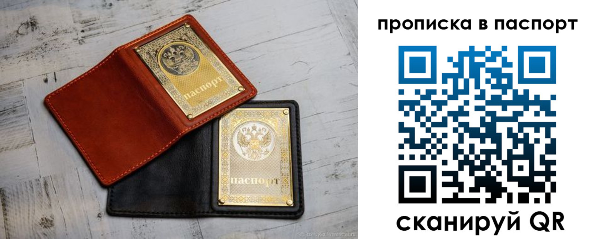 прописка в Камышине