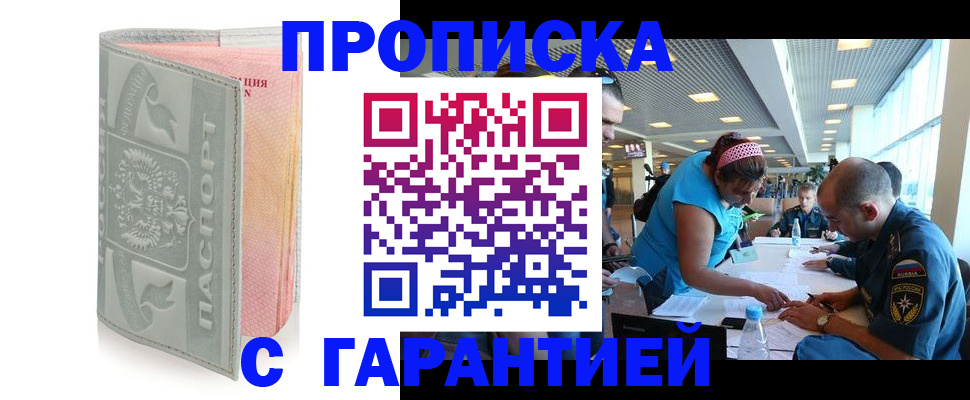 прописка поиск в Камышине